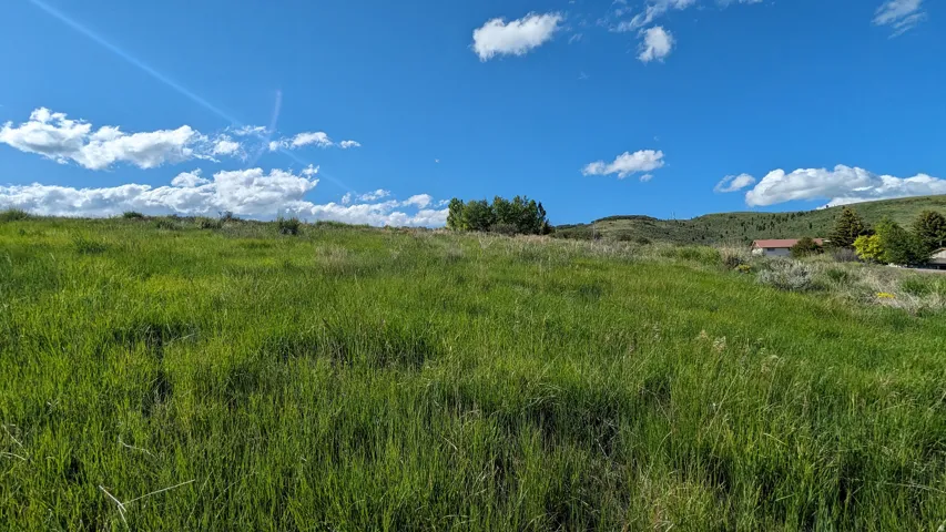 Expansive grassy hillside lot with distant trees and a clear blue sky