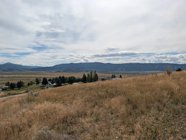 Expansive undeveloped land featuring natural grasses and distant mountain ranges