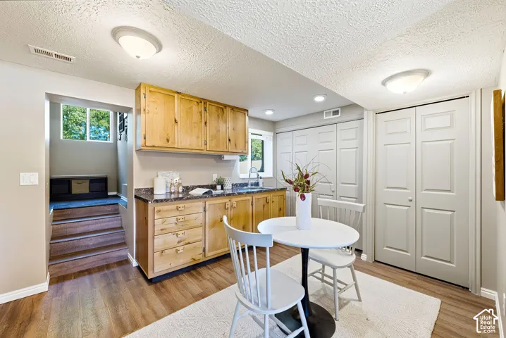Basement kitchenette with a view into the back entryway that leads to the flex space and the backyard.