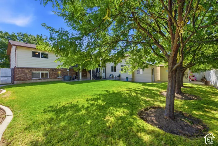 Large backyard with mature trees and a fully fenced area