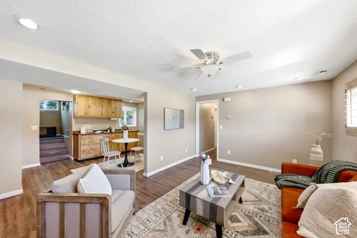 Basement living room with a view into the kitchenette, back entryway, and hallway to the bedrooms and bathroom.