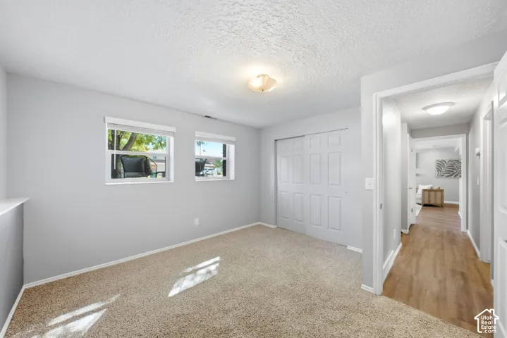 Basement bedroom #2 with full daylight windows and a view down the hallway to the bathroom and living room.