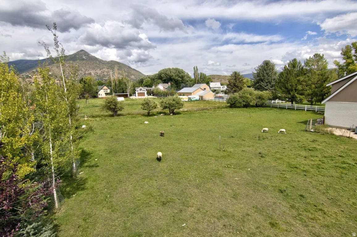 Expansive green space featuring a white picket fence and mature trees