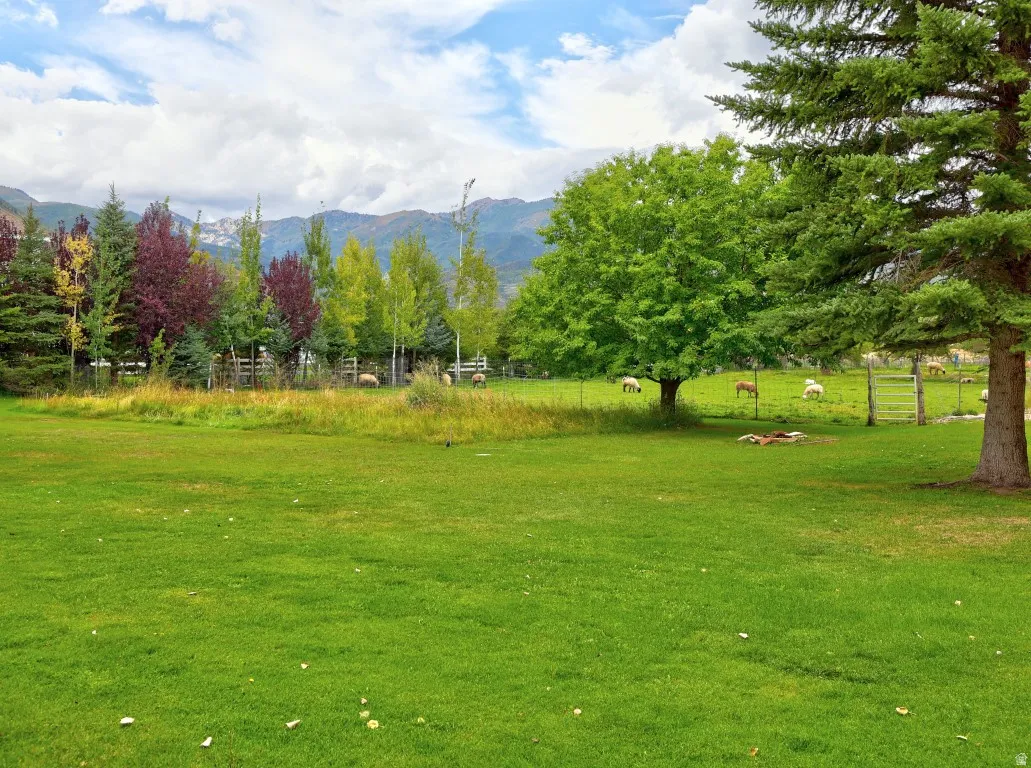 Expansive grassy lawn with mature trees and mountain backdrop