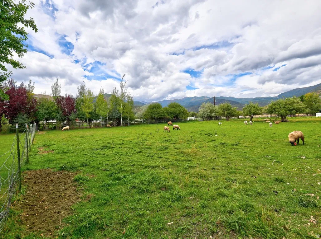 Expansive green pasture with mature trees and perimeter fencing