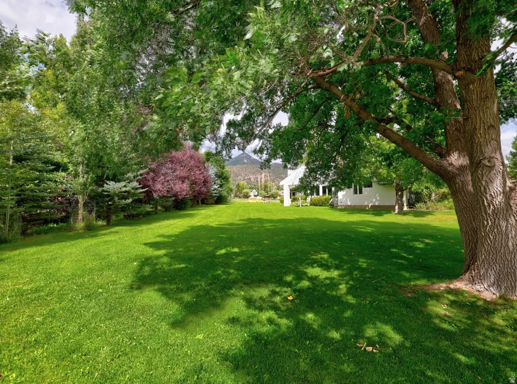 Expansive lawn with mature trees providing shade