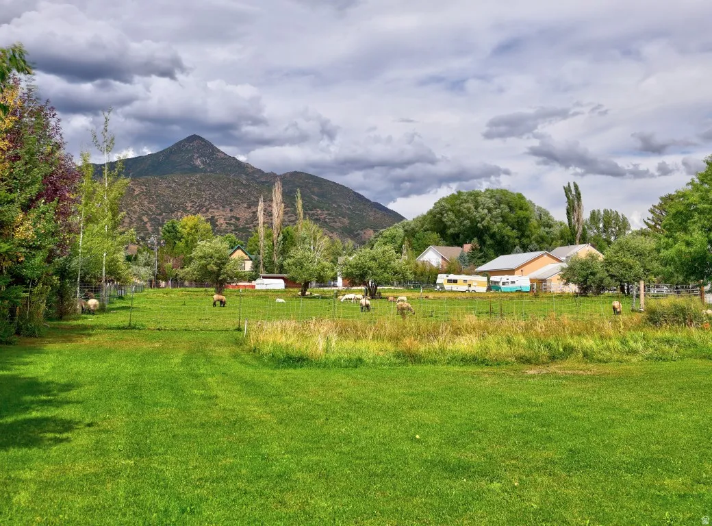 Expansive green field with perimeter fencing, surrounded by mature trees, with mountain scenery in the background