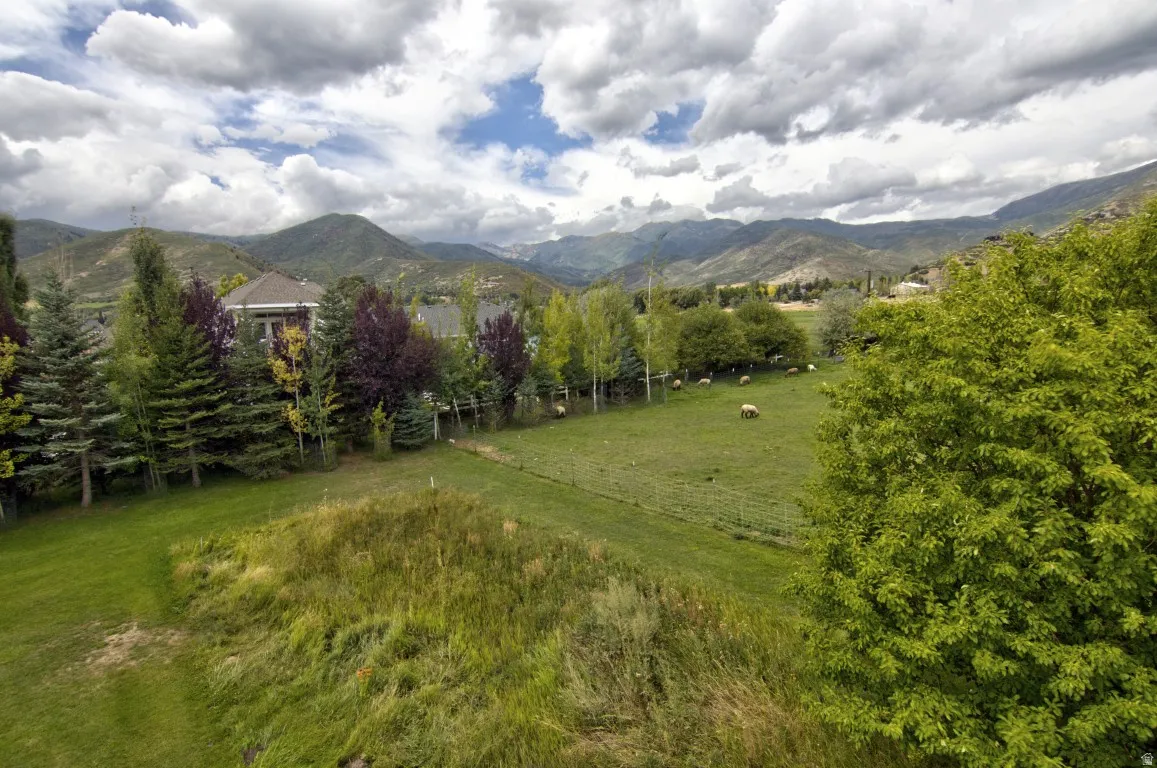 Expansive green landscape with mature trees and mountain backdrop
