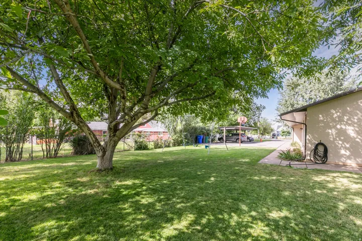 Expansive lawn with mature shade tree