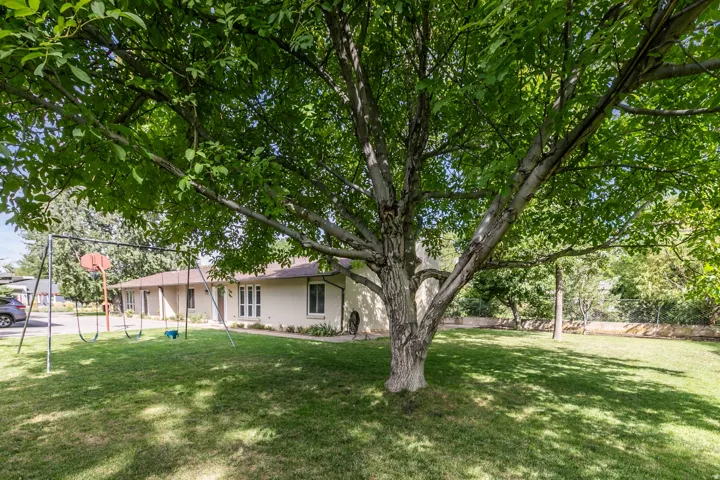 Expansive lawn featuring mature trees and a single-story exterior with multiple windows
