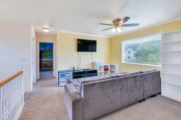 Carpet flooring, ceiling fan with integrated lighting, built-in shelving, and window with horizontal blinds
