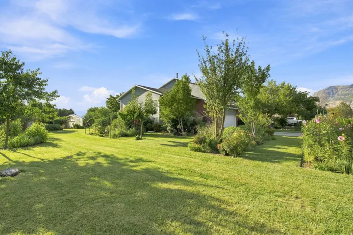 Expansive lawn area with mature trees and established garden beds