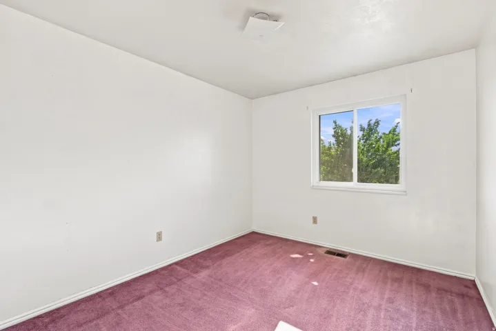 White walls with a window featuring a natural green backdrop and magenta carpet