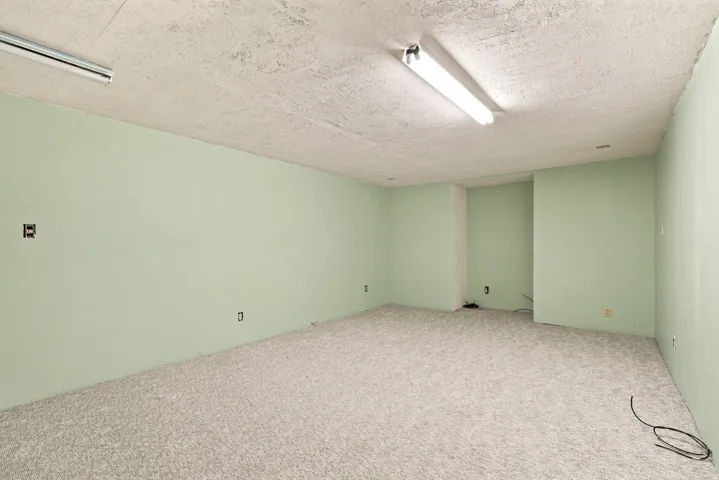 Expansive room featuring light-colored carpeting, pale green walls, and overhead fluorescent lighting