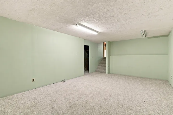 Spacious carpeted room with light green walls and overhead fluorescent lighting
