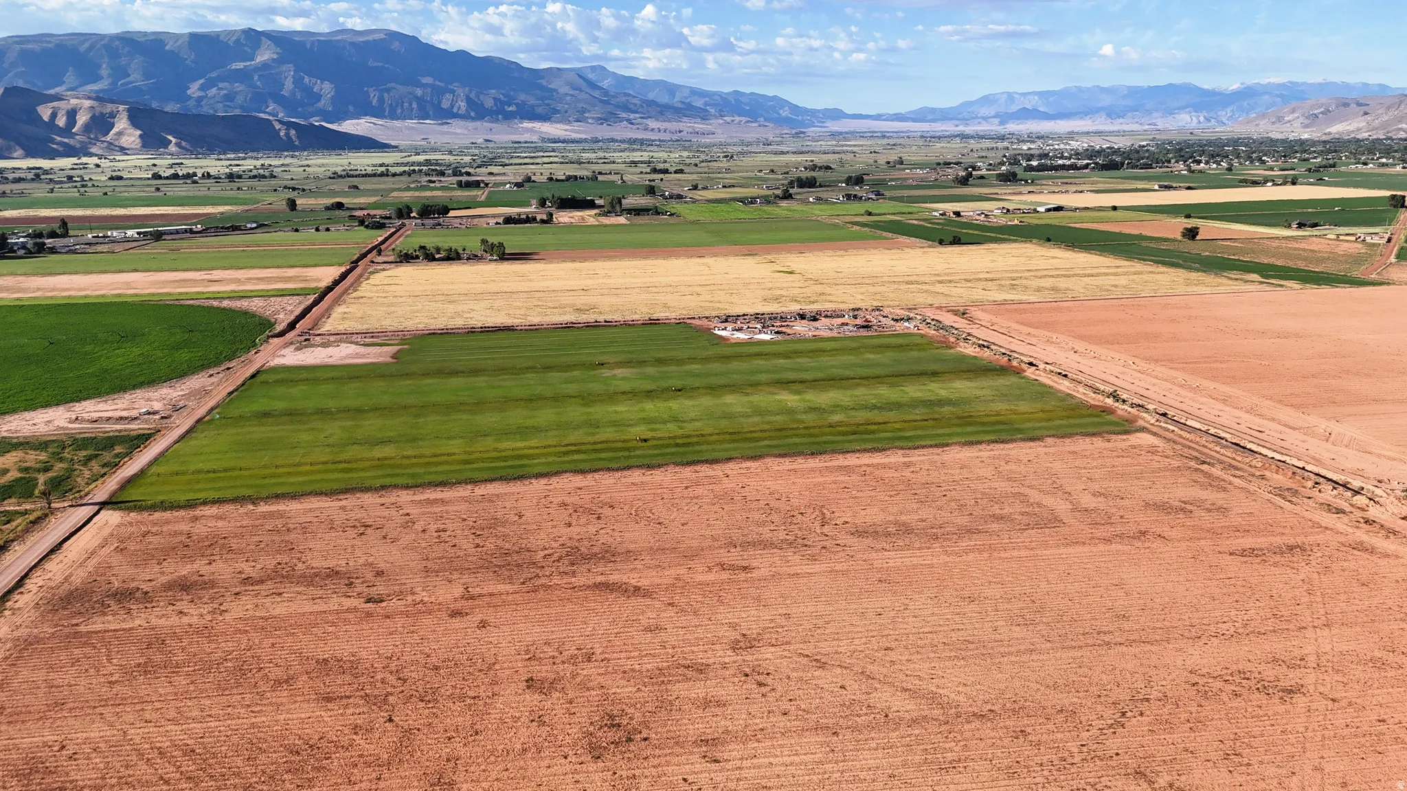 Expansive agricultural land featuring cultivated fields and a distant mountain range