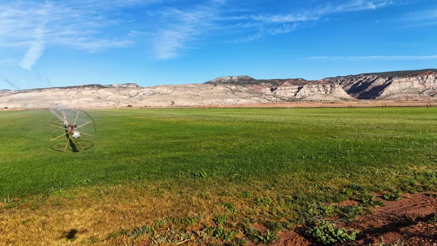 Expansive green field with a center pivot irrigation system and natural rock formations in the background