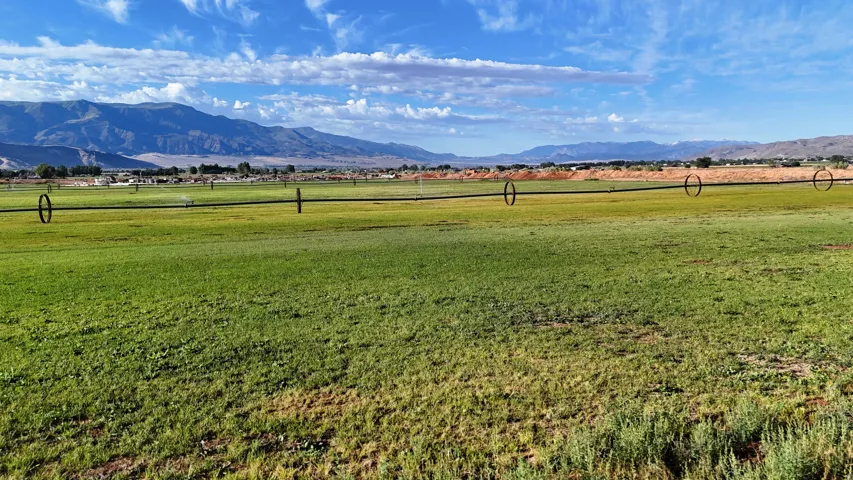 Expansive green landscape with a distant mountain range and clear skies