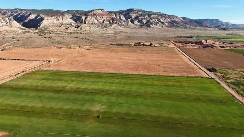 Expansive green fields with cultivated land, surrounded by natural desert terrain, and featuring a distant mountain range