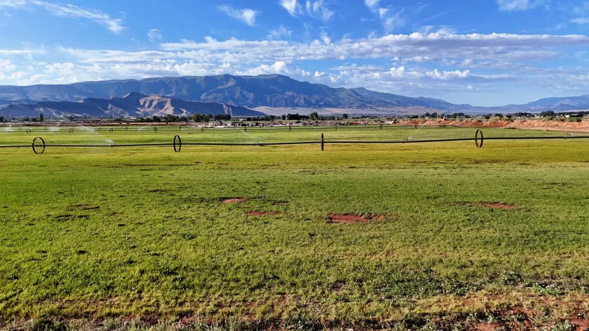 Expansive green field with an installed irrigation system and distant mountain range