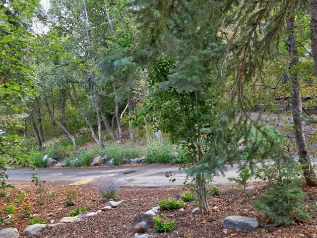 9032 N Timphaven Rd, Sundance, Utah 84604
