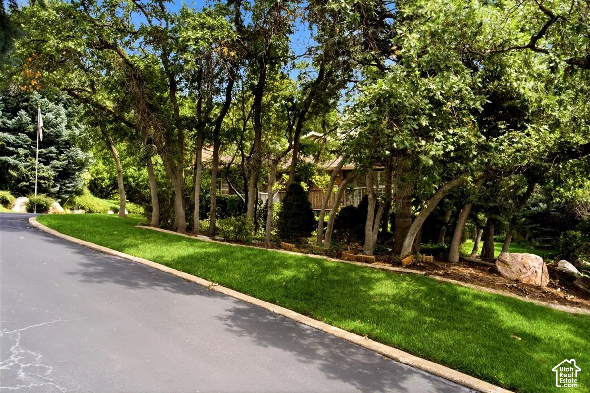 Paved driveway with a concrete curb, bordering a manicured lawn, mature trees, and natural rock accents