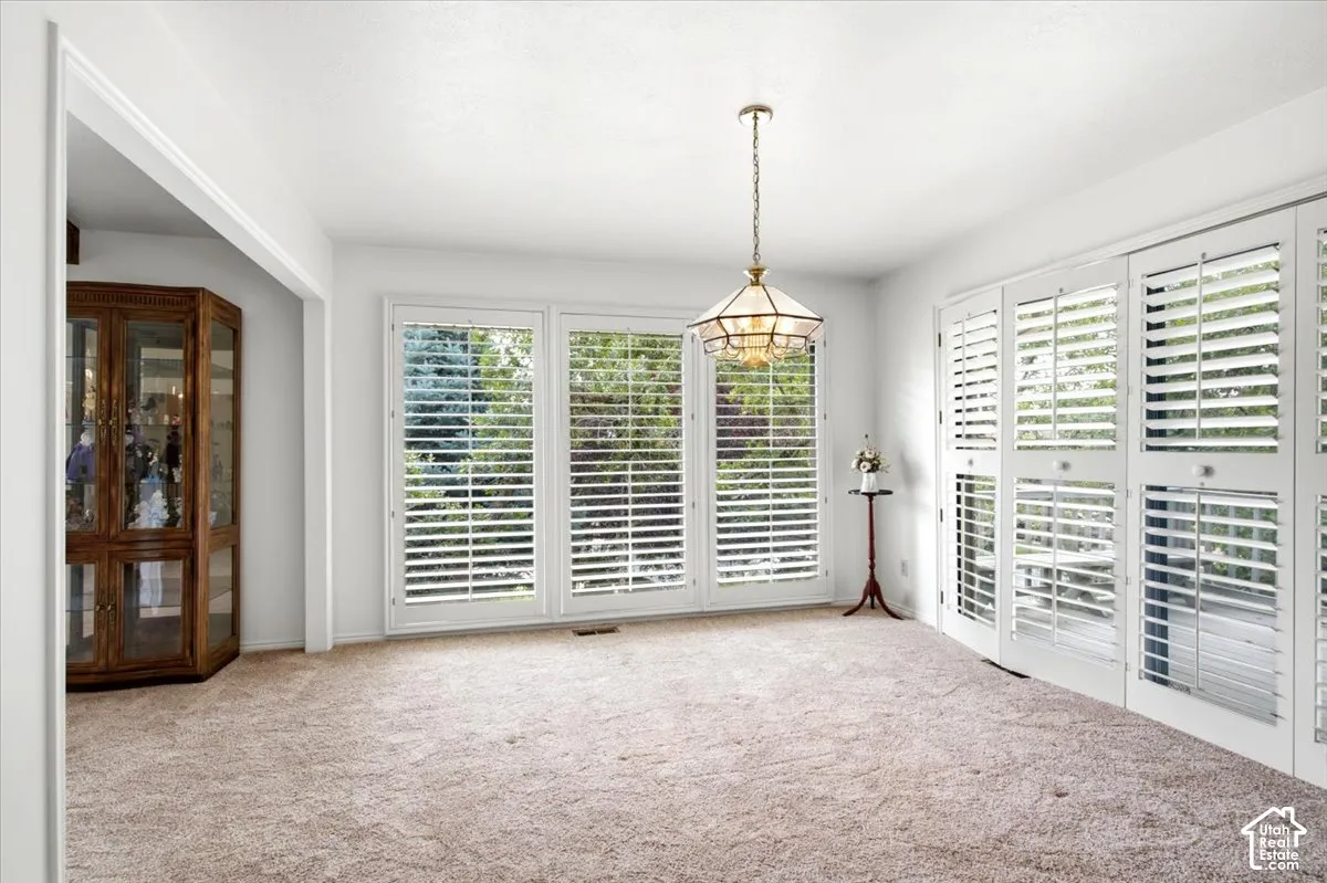 White interior walls, plush carpet flooring, multi-pane glass doors with plantation shutters, ceiling-mounted light fixture, and a built-in display cabinet