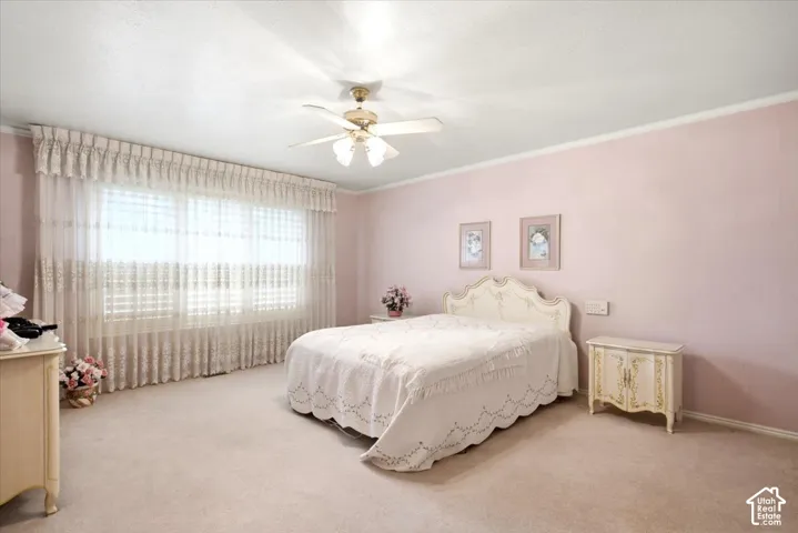 Expansive room featuring wall-to-wall carpeting, a large window with sheer drapery, a ceiling fan with integrated lighting, and crown molding