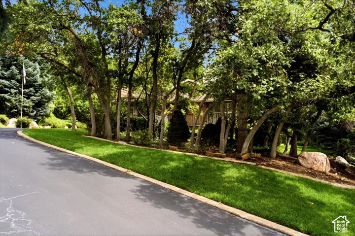 Paved driveway with a concrete curb, bordering a manicured lawn, mature trees, and natural rock accents
