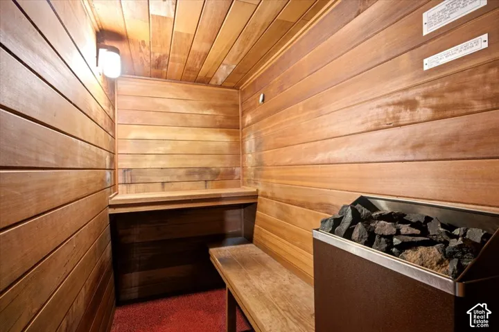 Wood-paneled sauna featuring built-in benches, a wall-mounted light fixture, and a rock-filled heater unit