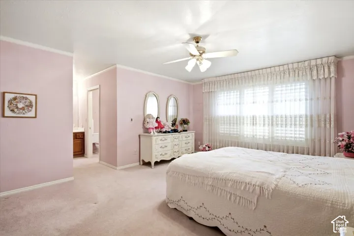 Plush carpet flooring, ceiling fan, and large windows with privacy blinds