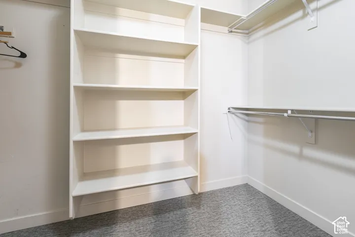Built-in shelving, white walls, gray patterned carpeting, and garment rods