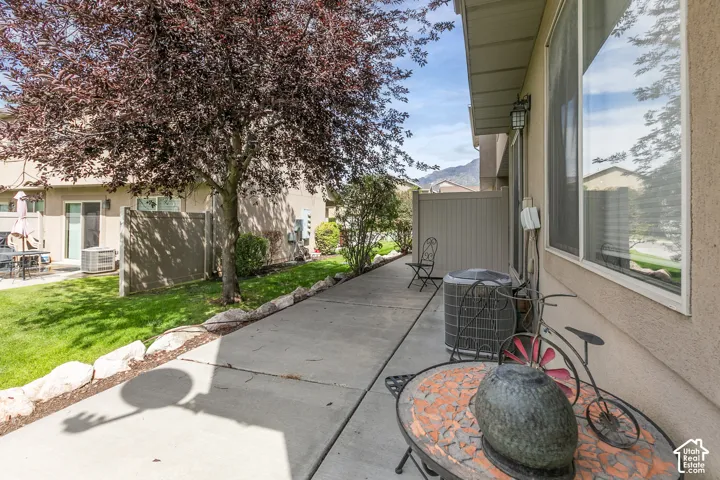 Paved side yard with a mature tree and a fenced perimeter