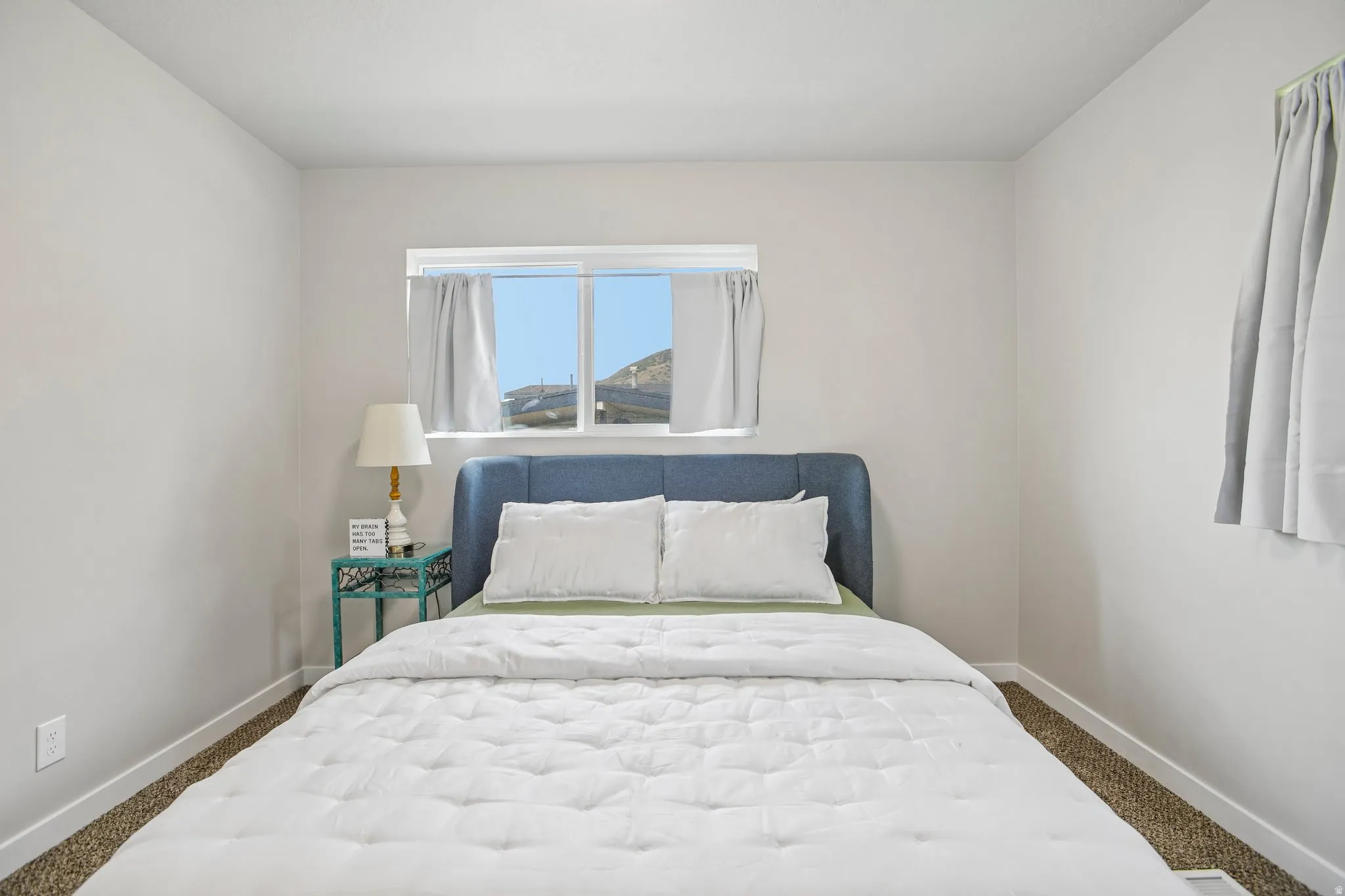 Neutral wall color, window with natural light, textured carpet flooring
