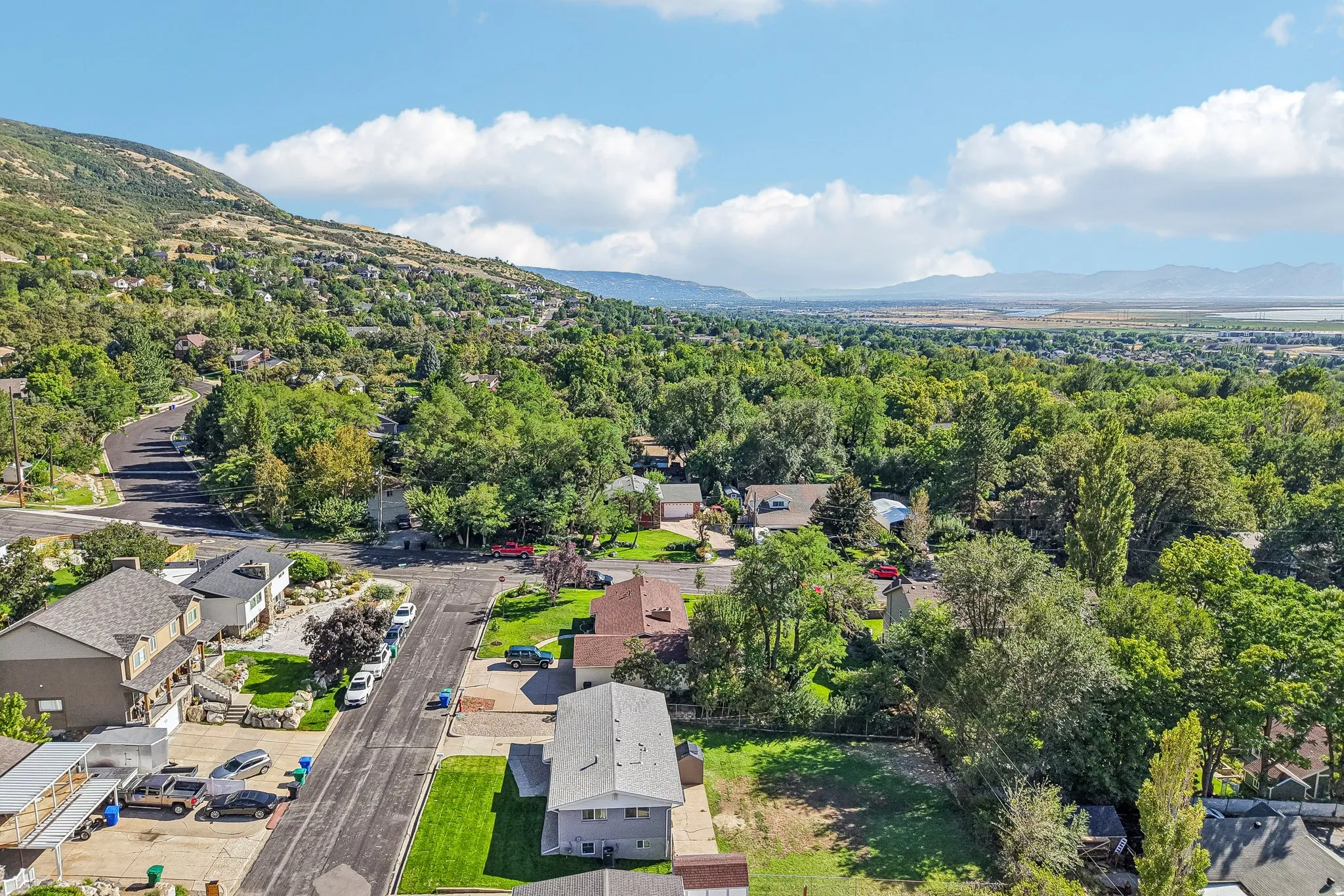 Mountainous backdrop with extensive tree coverage and residential streets