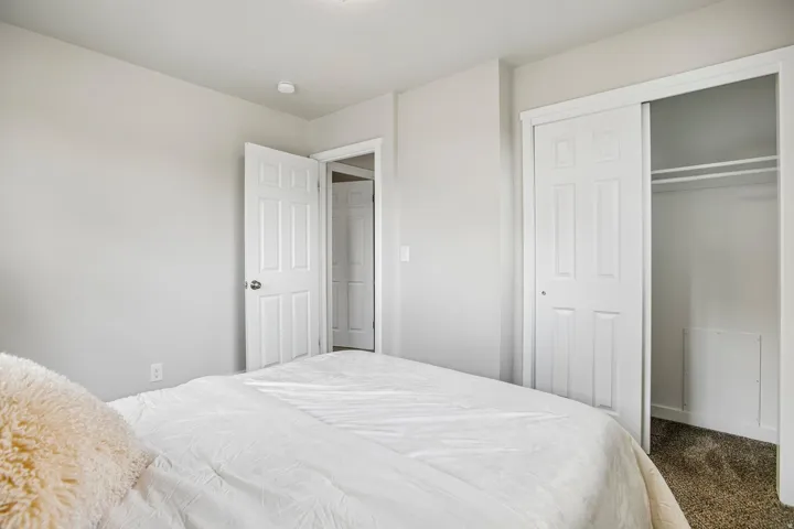 Neutral wall finishes with a ceiling-mounted light fixture, white interior doors, and carpet flooring