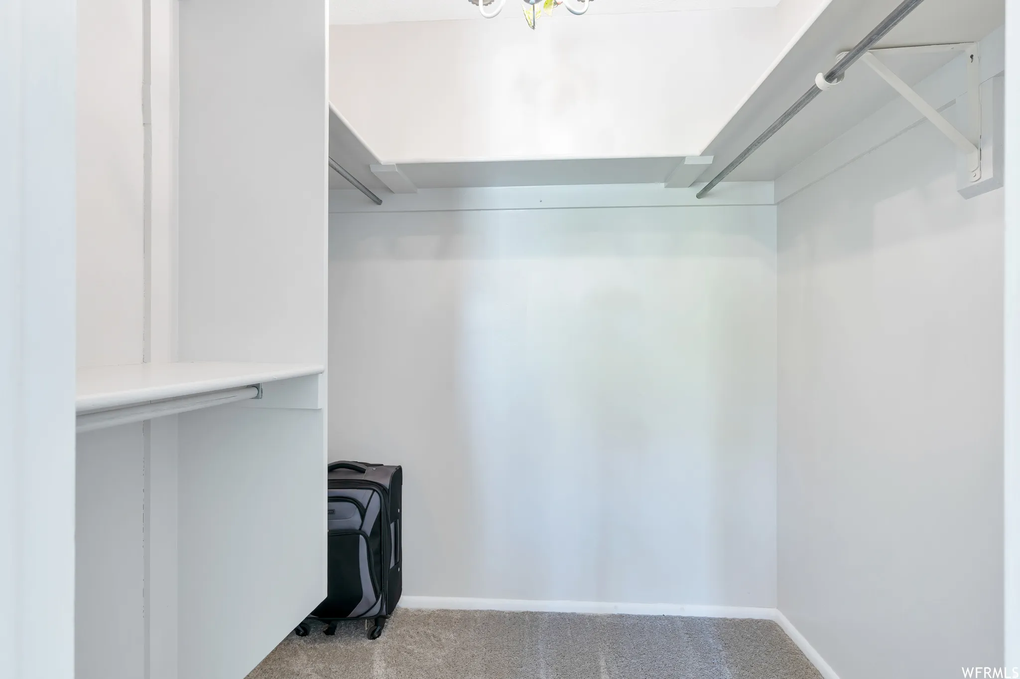 Carpeted closet with shelving, hanging rods, and light-colored walls