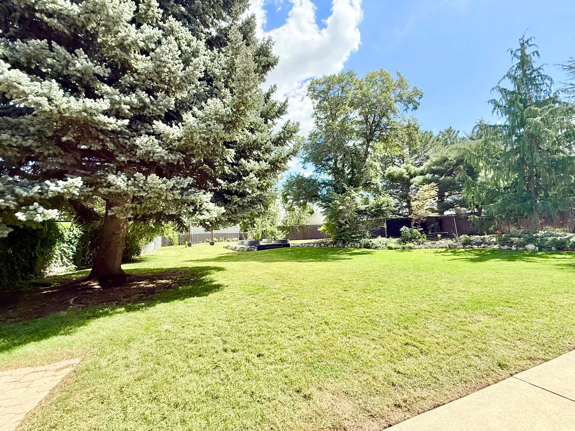 Expansive lawn area with mature trees and a paved walkway
