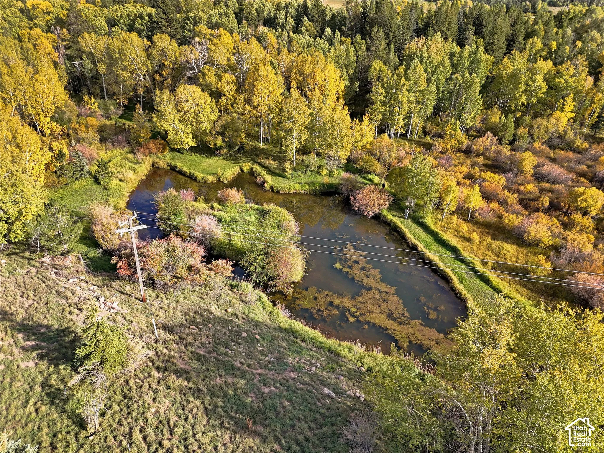 Natural water feature, surrounded by diverse foliage, expansive wooded areas, and varied topography