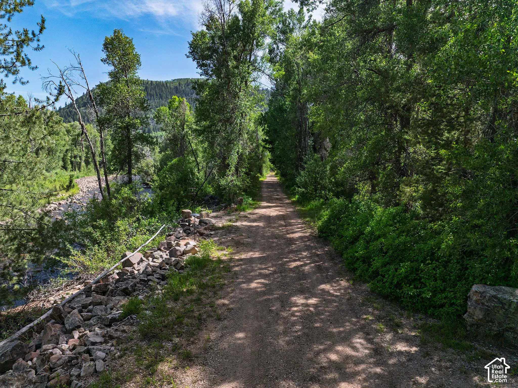 Wooded lot with a gravel path, mature trees, natural rock formations, and a visible water feature