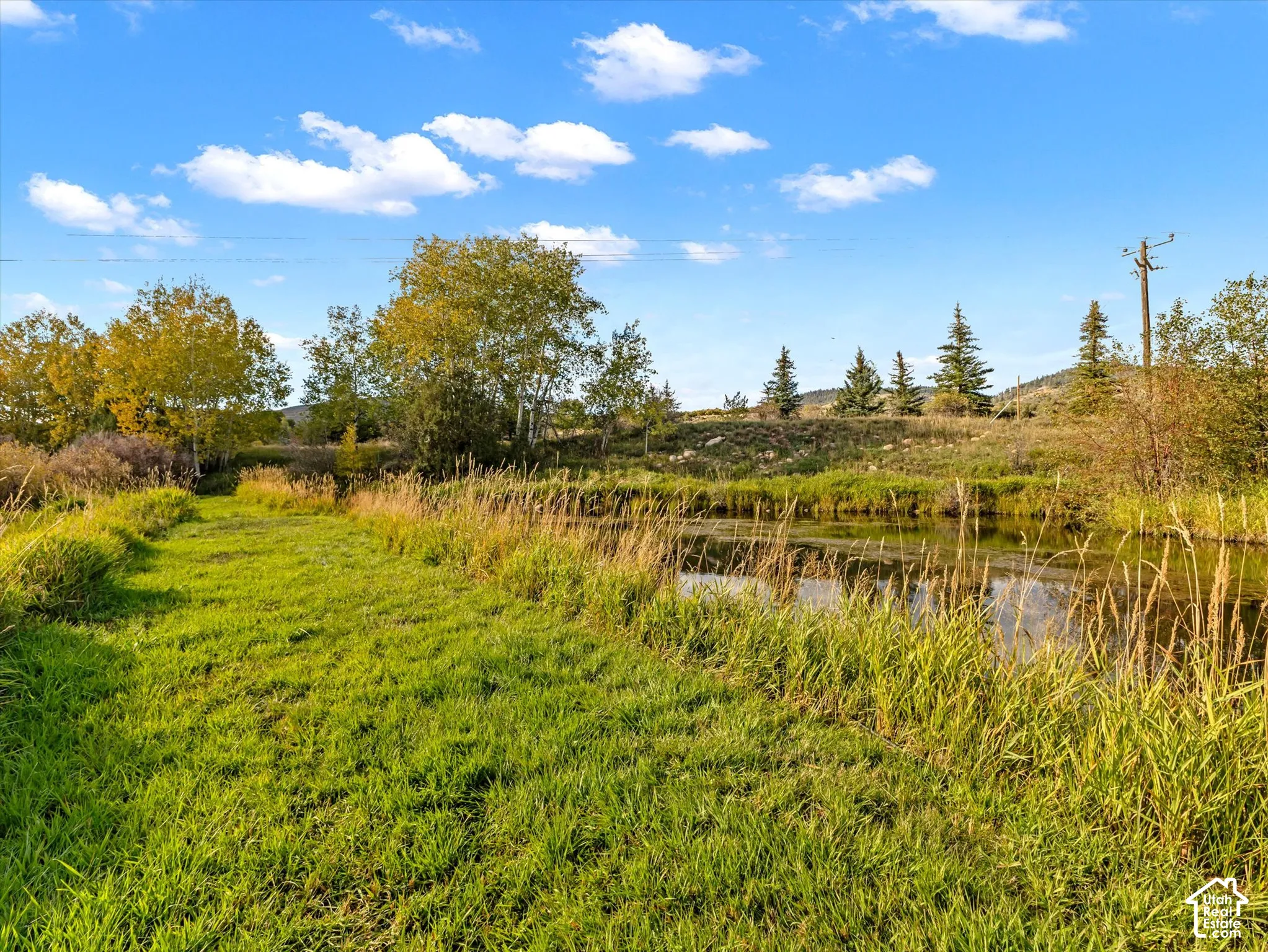 Expansive green space featuring a natural water body, mature trees, and varied vegetation