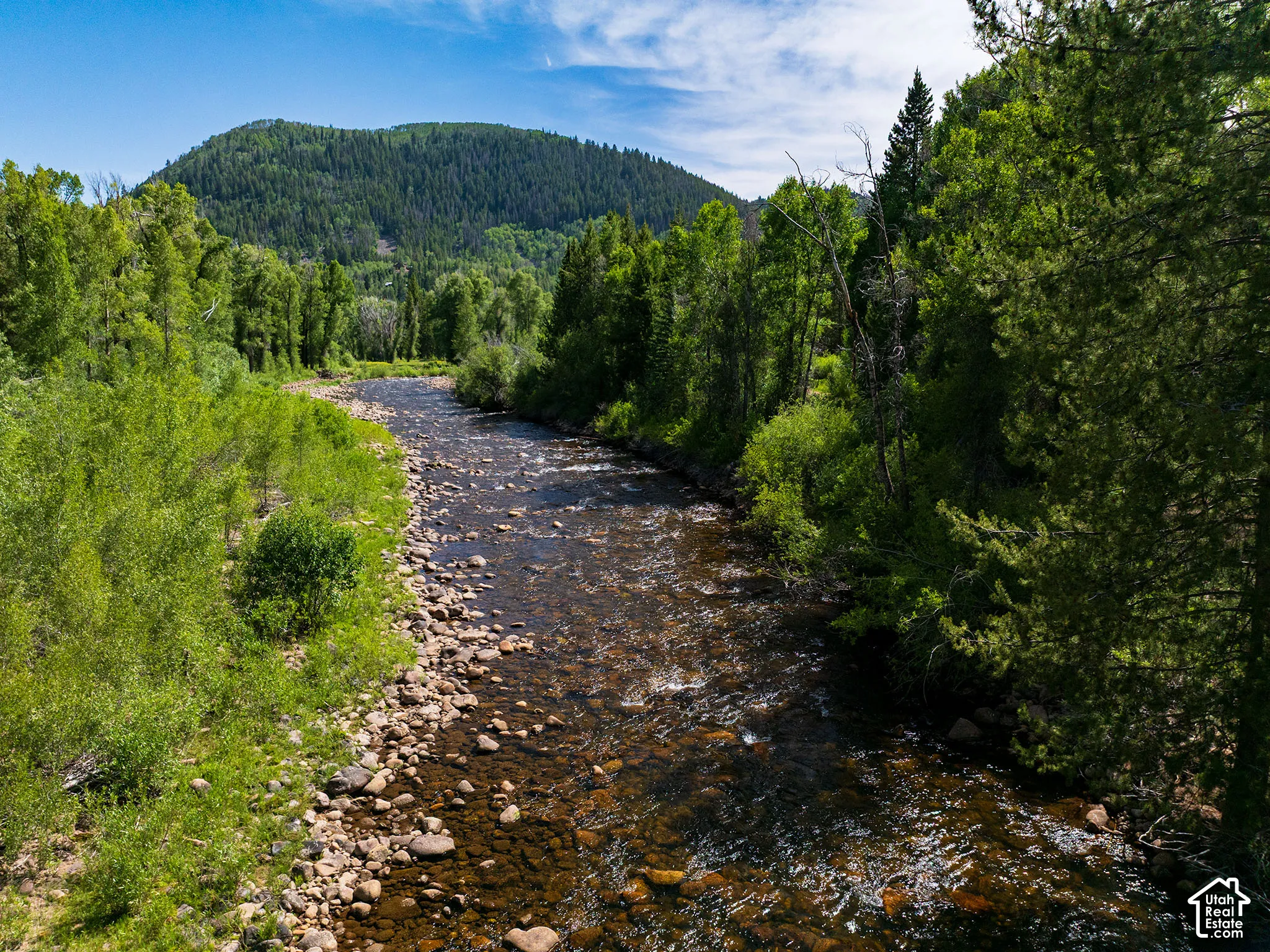 Natural riverfront with a stone and pebble bed, bordered by lush green foliage and mature trees