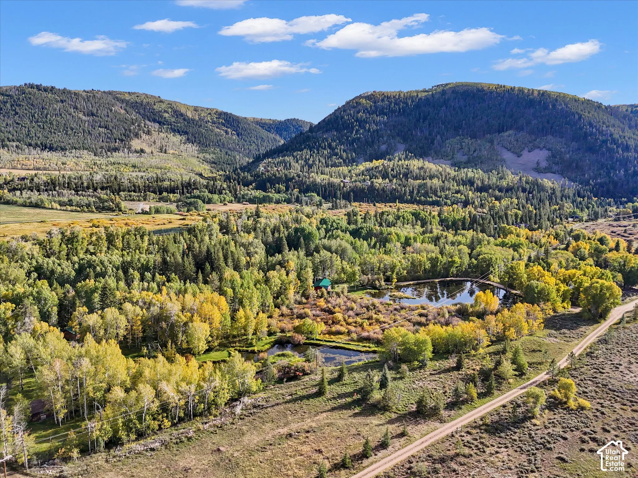 Lush natural landscape with a natural pond and surrounding mature trees, set against a mountain backdrop