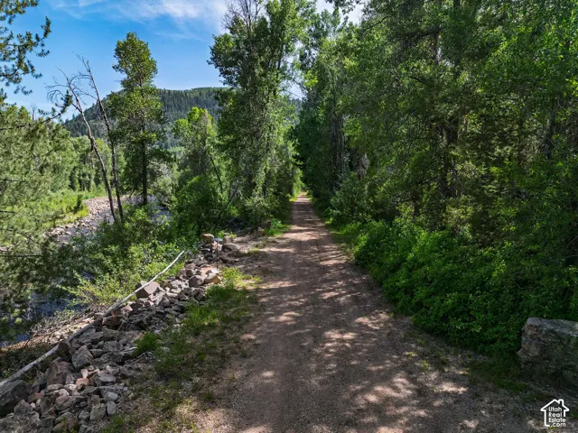Wooded lot with a gravel path, mature trees, natural rock formations, and a visible water feature
