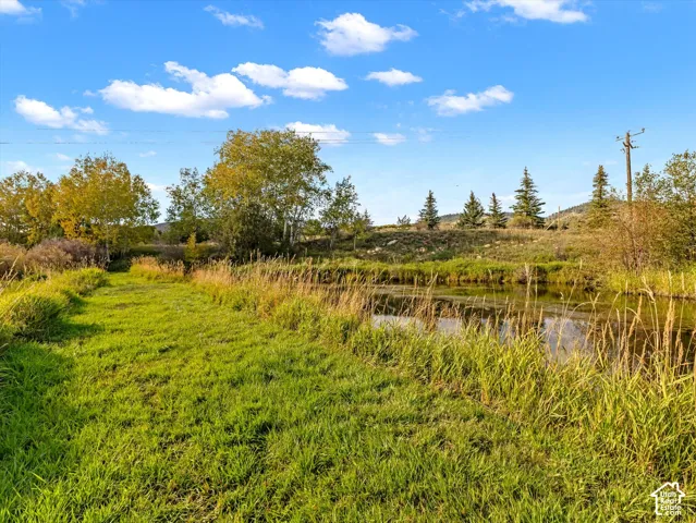 Expansive green space featuring a natural water body, mature trees, and varied vegetation