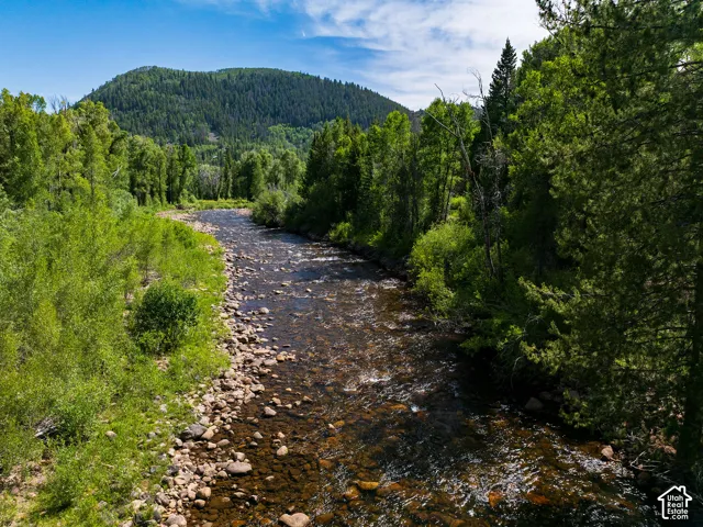 Natural riverfront with a stone and pebble bed, bordered by lush green foliage and mature trees