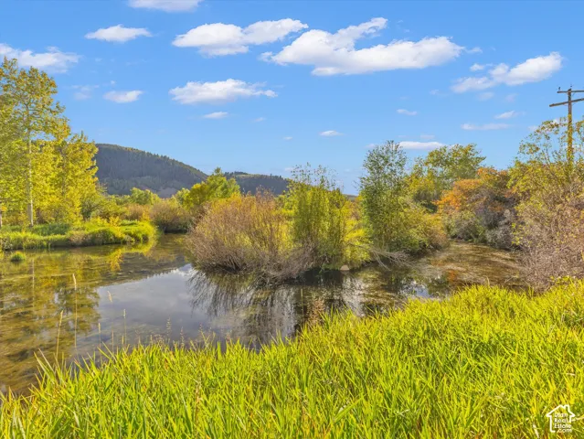Natural water feature surrounded by lush vegetation and verdant grass