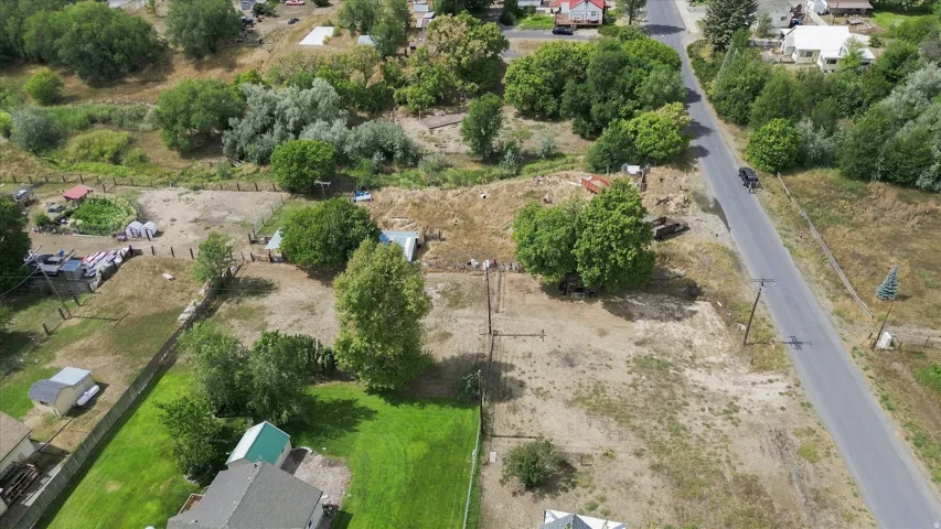 Expansive lot featuring a mix of mature trees, open land, and a paved road frontage