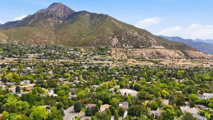 Aerial perspective of a verdant residential area with established trees and surrounding mountains
