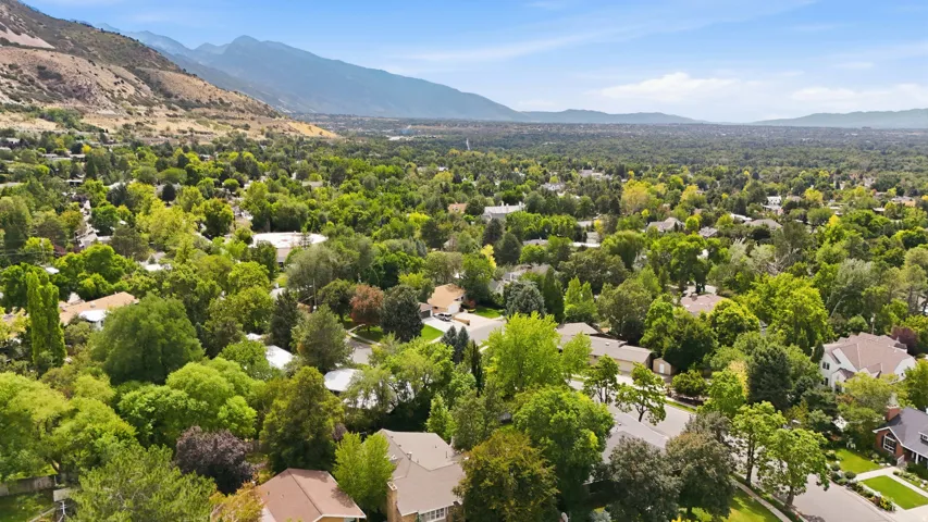 Lush, tree-lined neighborhood surrounded by distant mountains